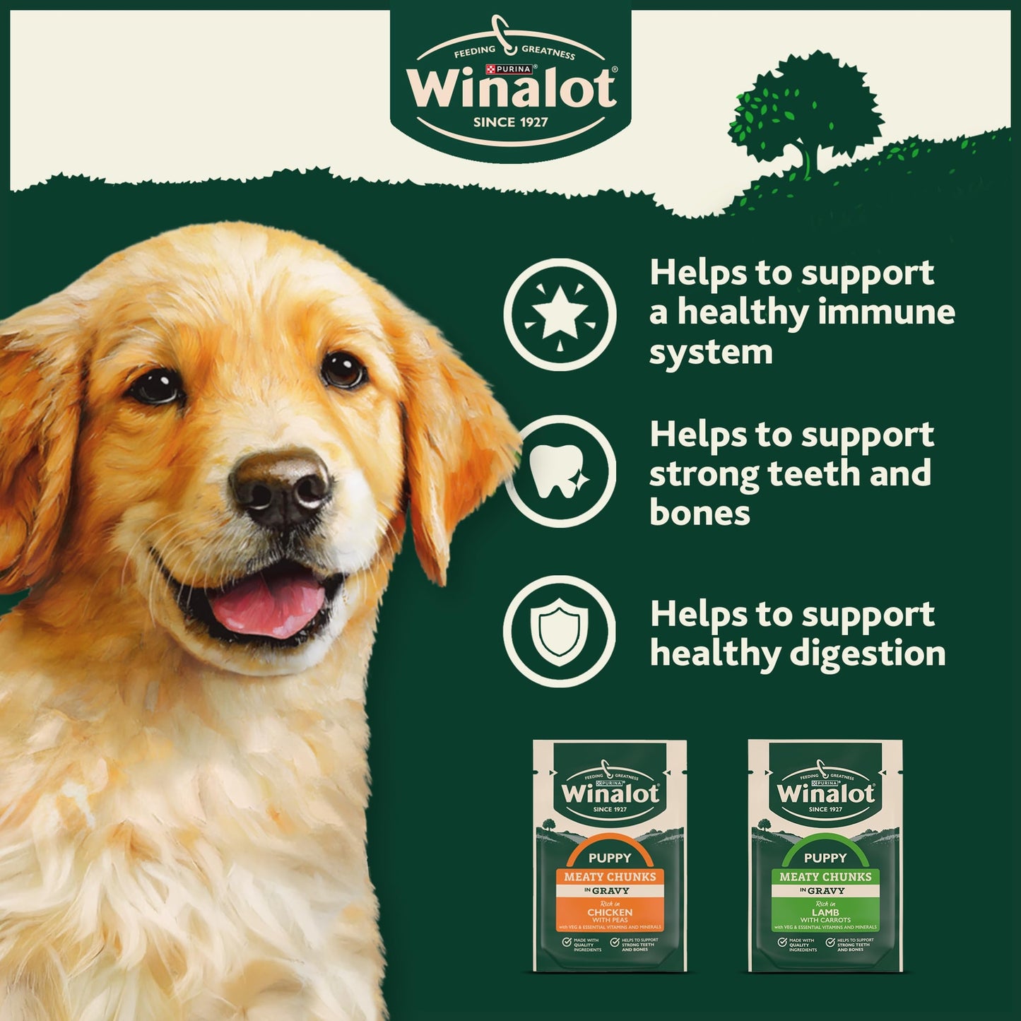 WINALOT Sunday Dinner Mixed in Gravy Wet Dog Food Pouches 40x100g
