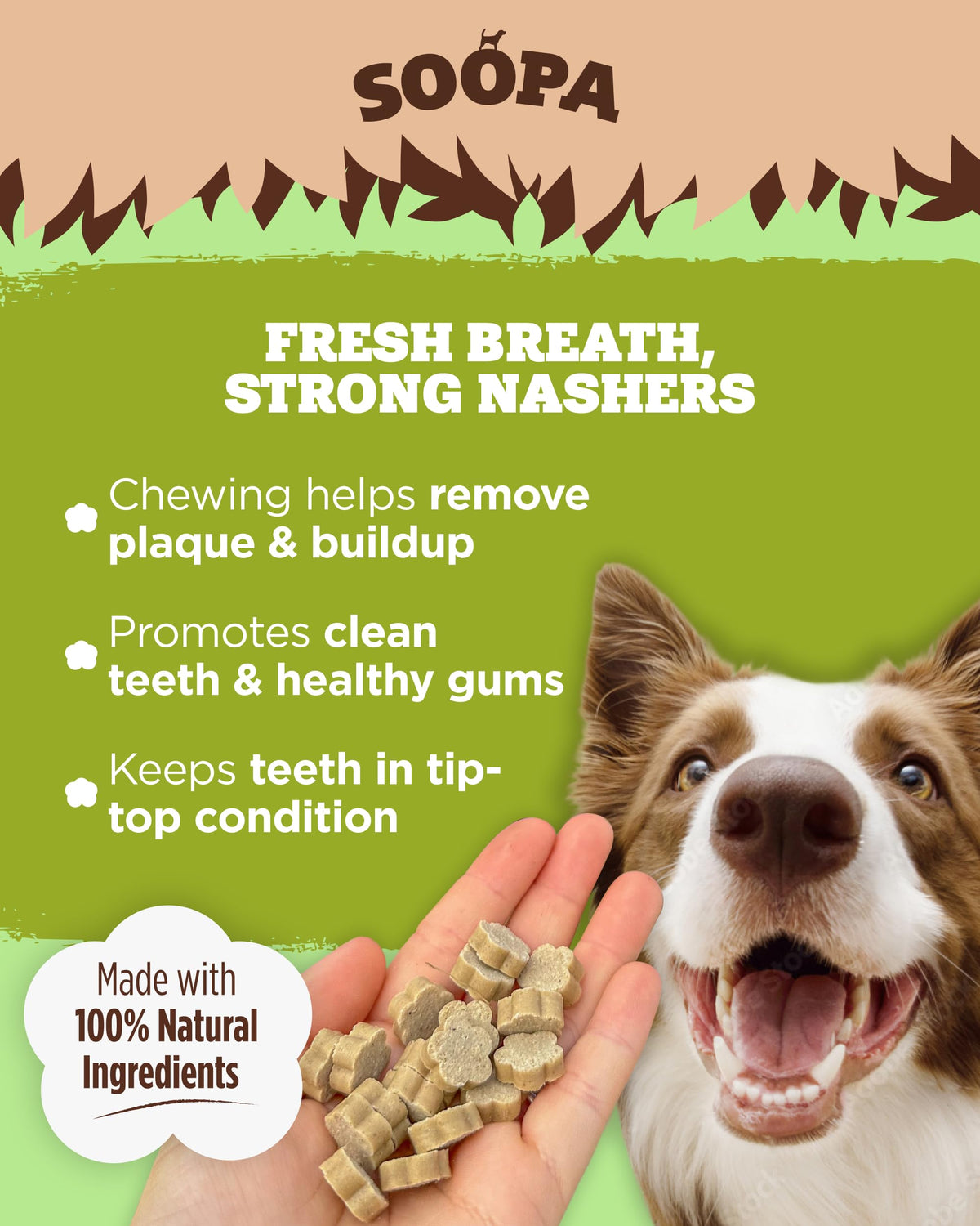 Soopa Strawberry Dog-Quiri Healthy Bites, Dog Training Treats, 50 g, 1-Pack