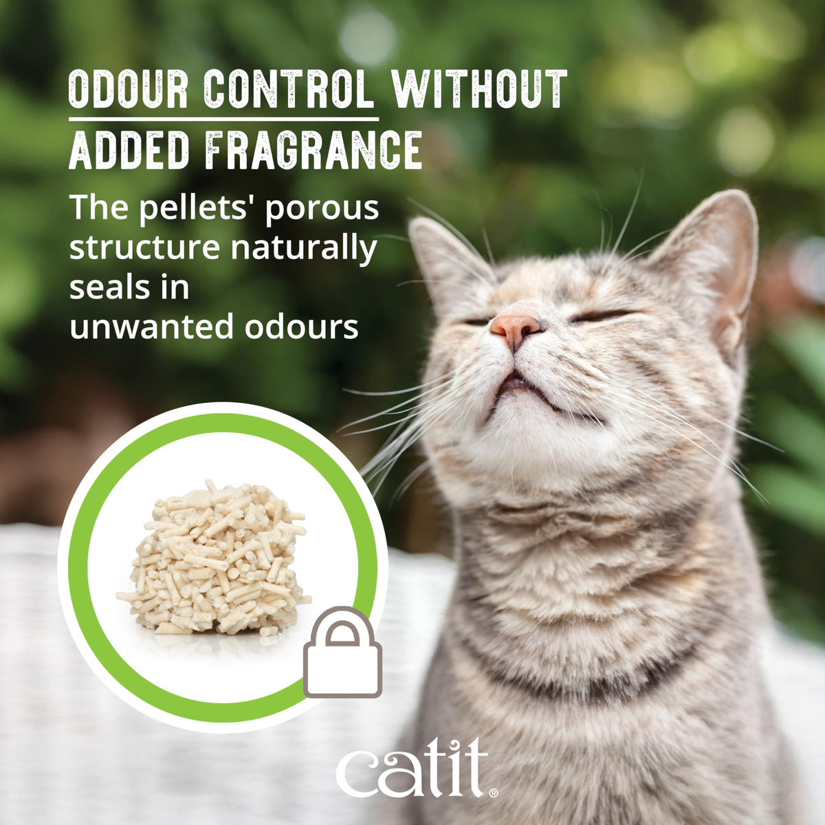 Catit Go Natural Vanilla Scented Pea Husk Clumping Cat Litter, Deodorising, 99.9% Dust-Free, Fast Clumping Cat Litter, Plant-Based Litter for Cats & Kittens, 5.6kg (2 x 2.8kg)