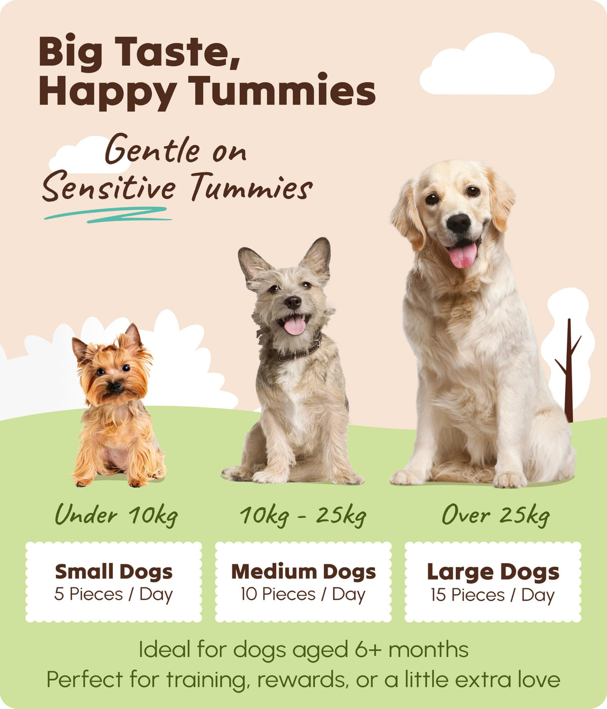 Soopa Strawberry Dog-Quiri Healthy Bites, Dog Training Treats, 50 g, 1-Pack