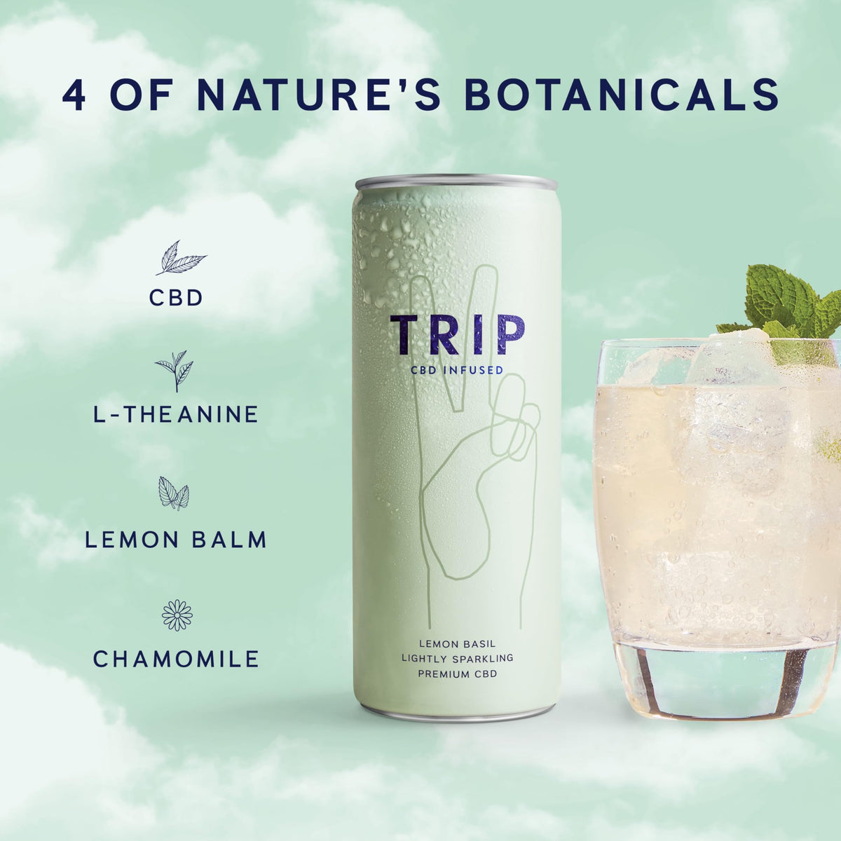 TRIP Sparkling Drink, Low Calorie, Vegan, Peach Ginger, 12 pack
