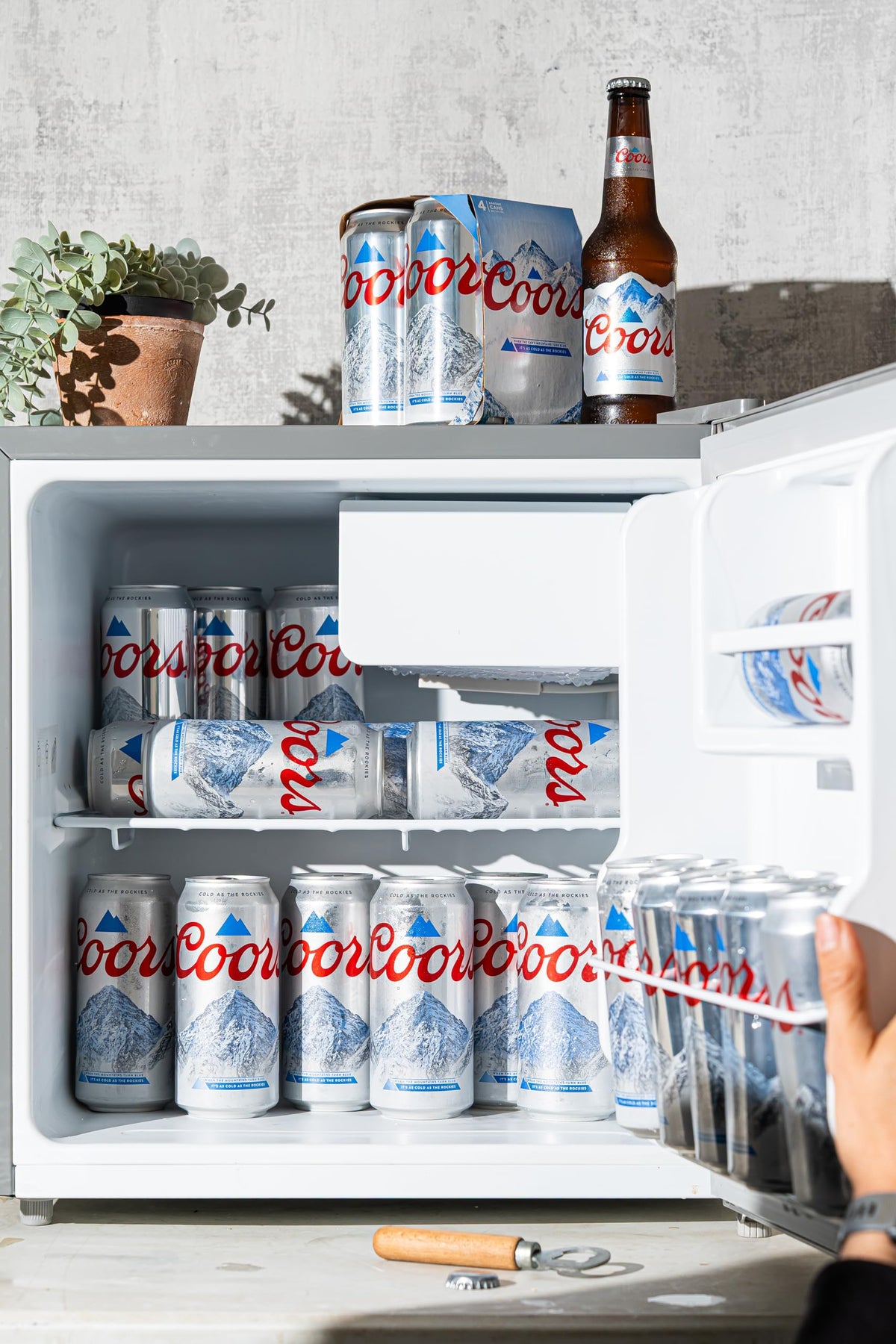 Coors Lager Beer 24 x 500 ml (cans)