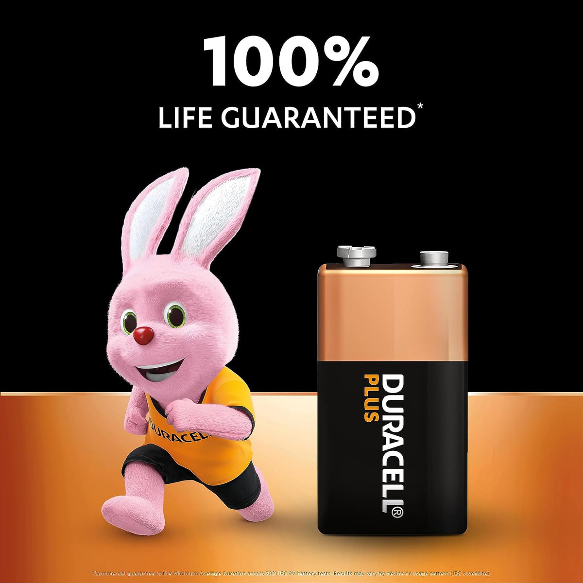 DURACELL Plus 9V Alkaline Batteries (2 Pack) 6LR61