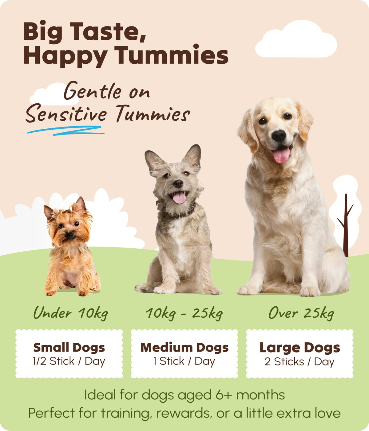 Soopa Carrot & Pumpkin Dog Dental Sticks, Chews to Clean Teeth, 100 g, 1-Pk