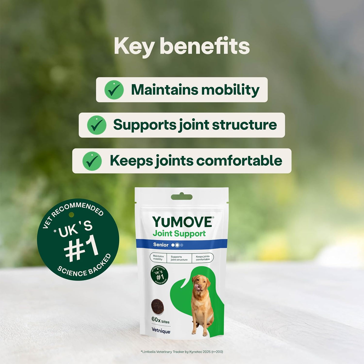 YuMOVE Senior Dog Joint Supplement, Daily Bites for Joint Care, Essential Dog Hip and Joint Aid for Senior Dogs with Glucosamine, Chondroitin, Green Lipped Mussel, Aged 8+, 60 Chews