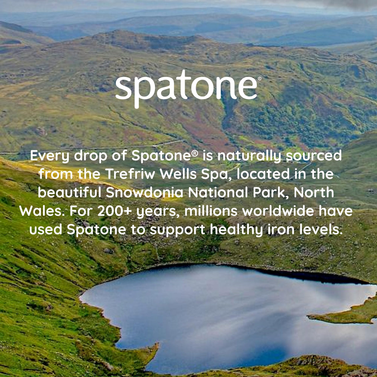 Spatone Natural Iron Supplement + Vitamin C (28 Sachets), Daily Convenient Liquid Iron Sachets, Nothing Artificial, Better Absorption than Tablets, Less Side Effects, Apple Flavour
