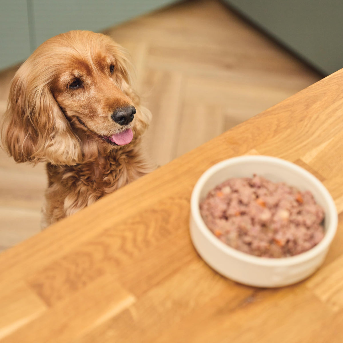 Lily's Kitchen Cottage Pie - Complete Adult Dog Wet Food (6 x 400g)