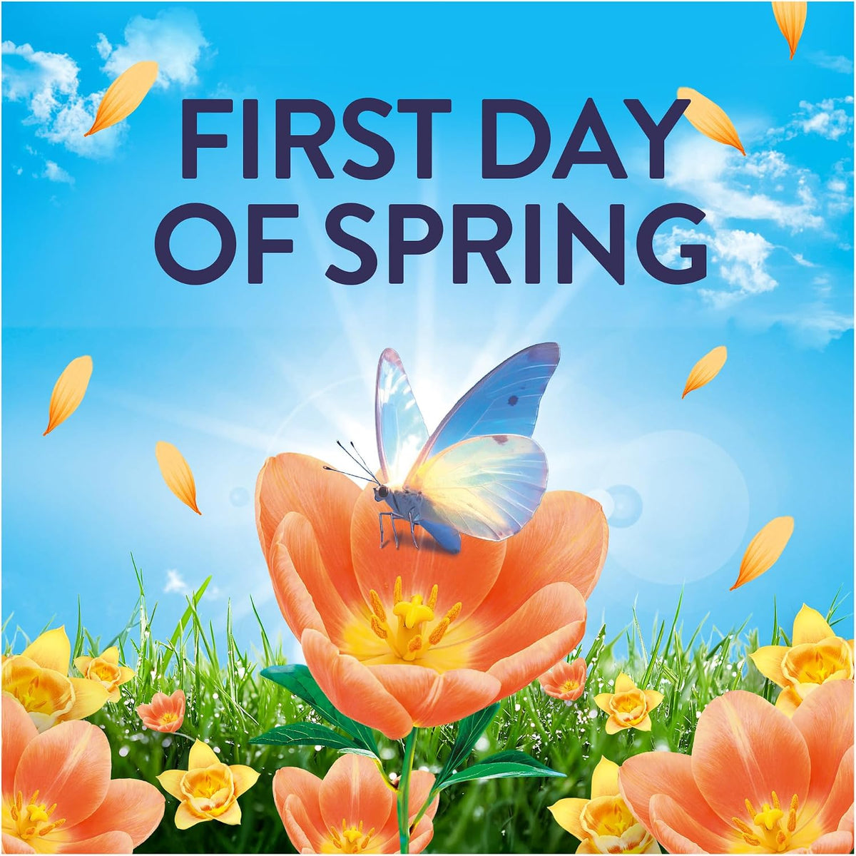 Lenor Outdoorable Fabric Conditioner 105 Washes, 1.47L, First Day of Spring