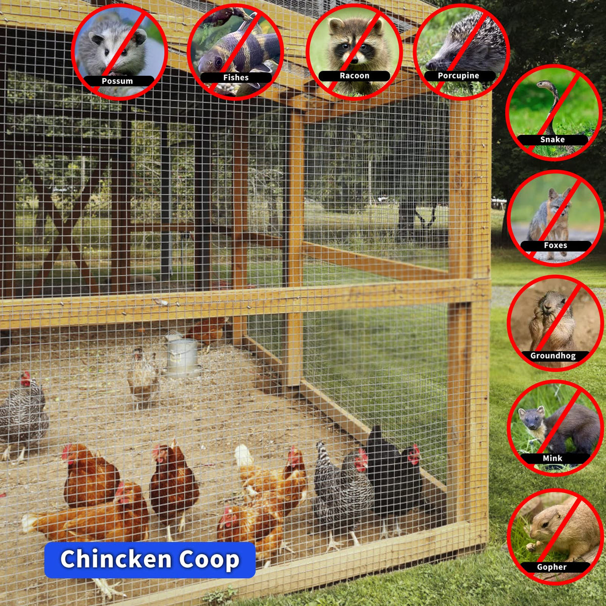 Rodent Mesh Galvanized Chicken Wire Metal Mesh Roll Rat Proof Kit 3Mx20cm