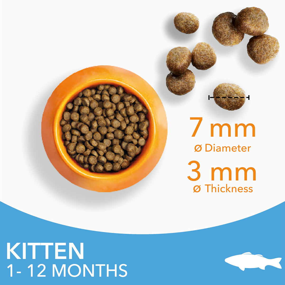 IAMS for Vitality Dry Kitten Food with Fresh Chicken, 3 kg, Packaging may vary