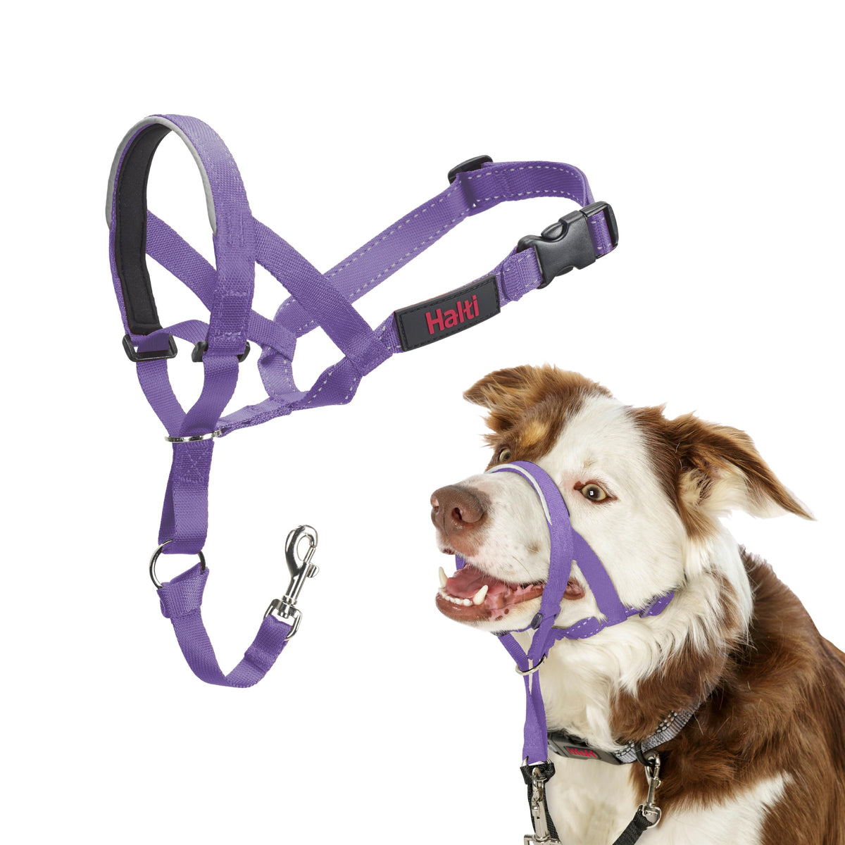 Halti Headcollar for Dogs | Size 3, Black