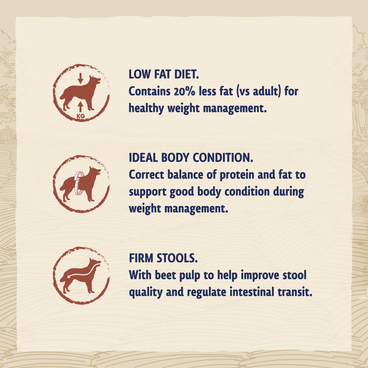 BETA Adult Sensitive Salmon Dry Dog Food 14kg