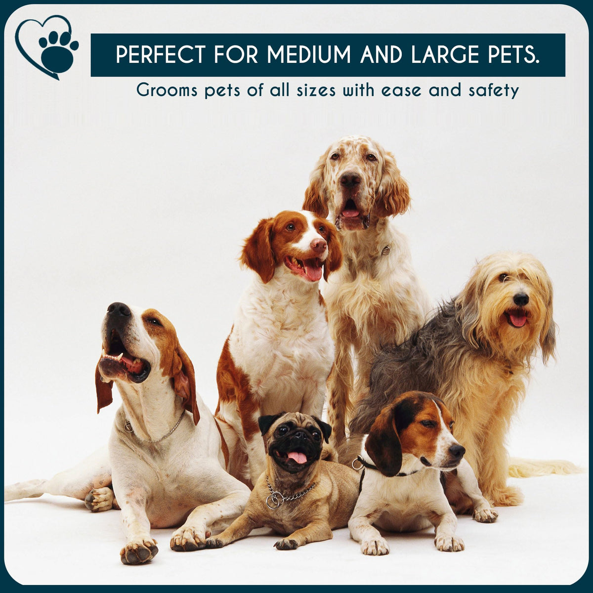 Candure Dog Nail Clippers for Large, Medium and Small Breed Professional Pet Nail Clipper Suitable for Cats, Rabbits and Guinea Pigs with Safety Lock (All Size Pets, Dark Blue)