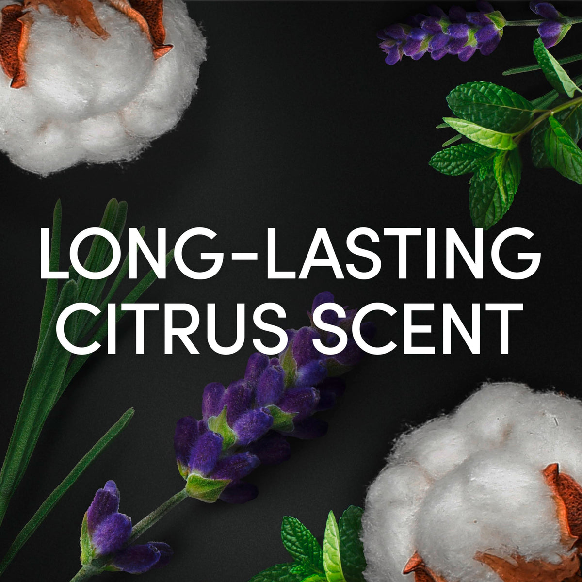 Dove Advanced Extra Fresh Antiperspirant Deodorant Roll On deodorant for men with Triple Action Technology for 72h sweat & odour protection 50 ml (Pack of 2)