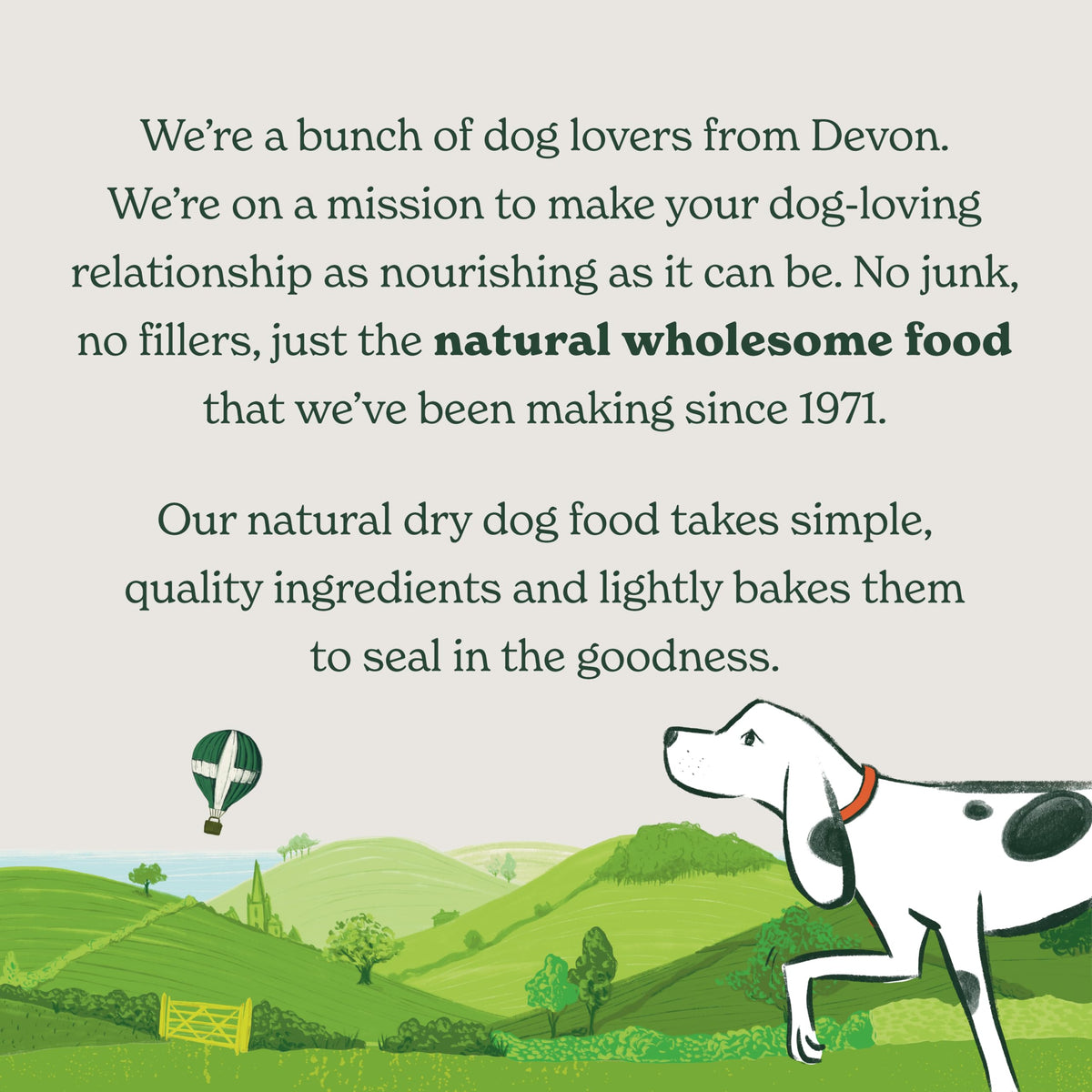 Forthglade Dry Dog Food, Lightly Baked, (2kg), Hypoallergenic and Grain Free Dog Food, Adult 1 Year +, Turkey With Sweet Potato, Completed and Balanced Meal, 50% Single Source Protein