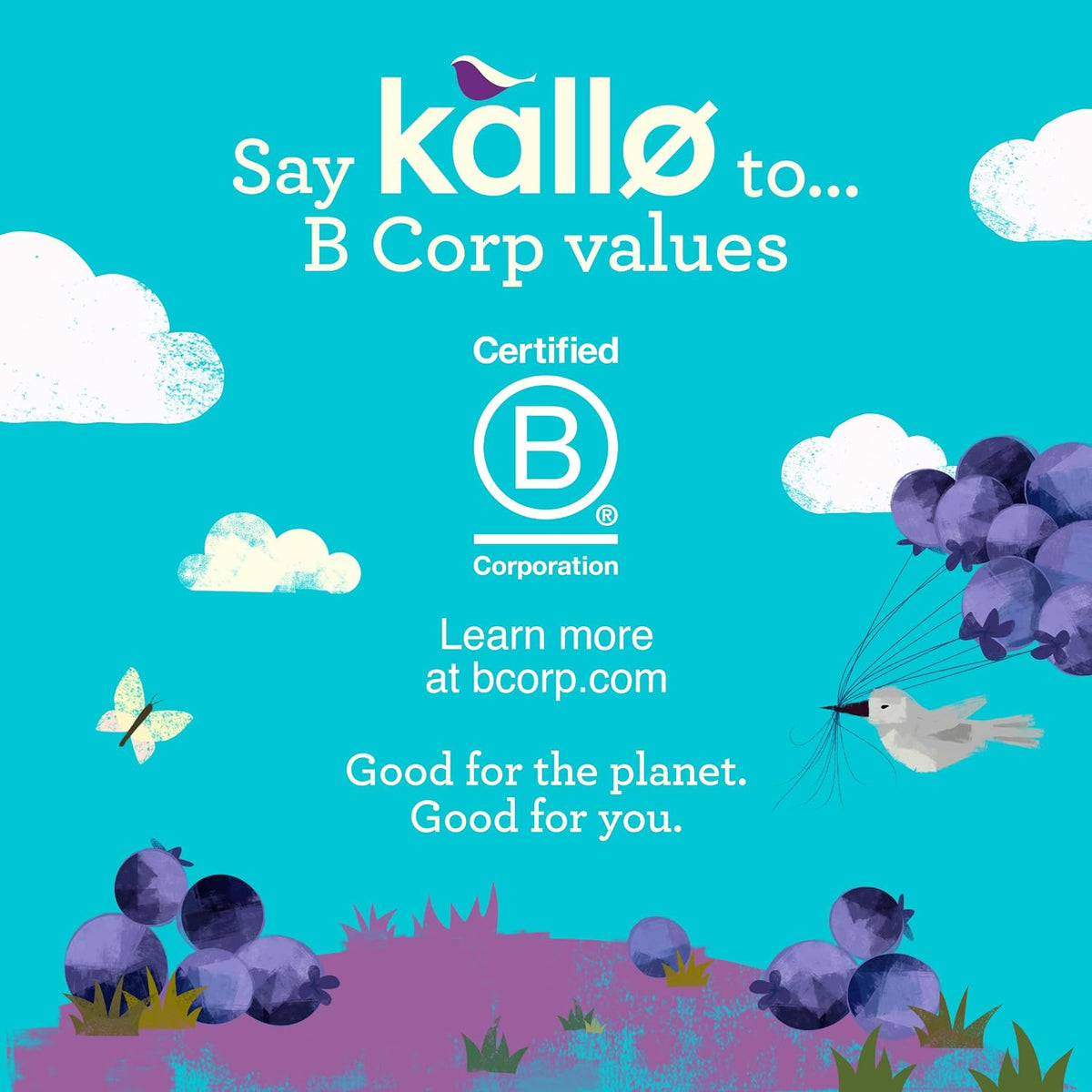 Kallo Blueberry & Vanilla Corn & Rice Cakes, Wholegrain Low Fat Healthy Snacks for Adults & Children, Vegan Friendly, Gluten Free, No Artificial Flavours or Preservatives, Single Pack – 1 x 131g