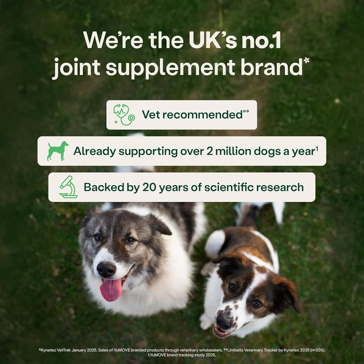 YuMOVE Young and Active Dog | Joint Supplement for Dogs to Support Active and Growing Joints Aged Under 6 | 60 Tablets Clear