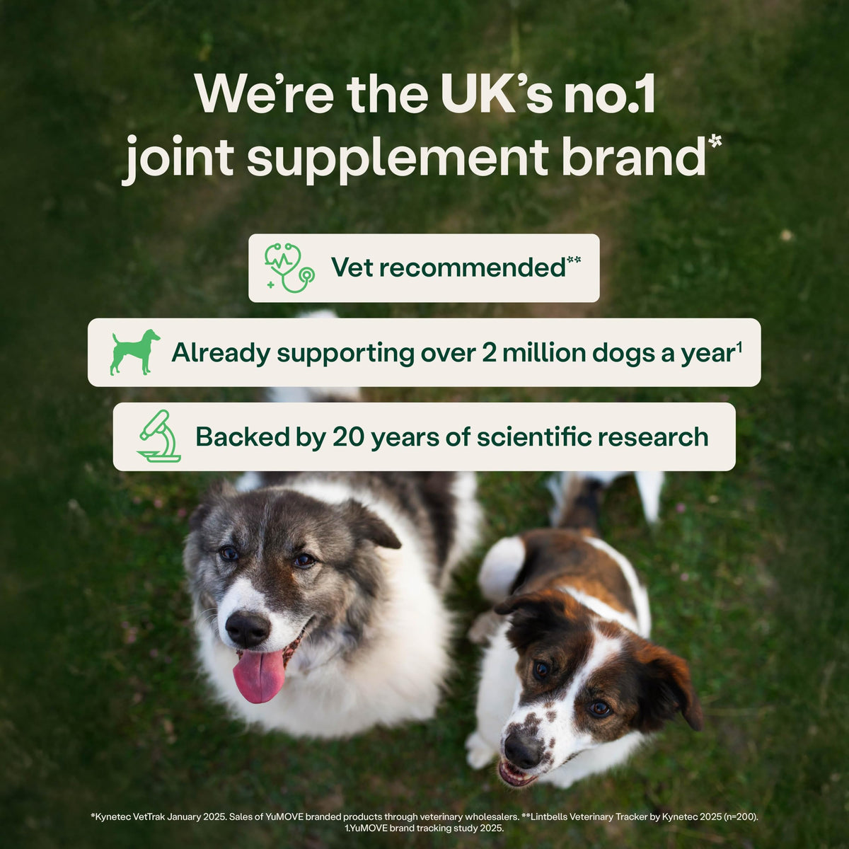 YuMOVE Young and Active Dog | Joint Supplement for Dogs to Support Active and Growing Joints Aged Under 6 | 60 Tablets Clear