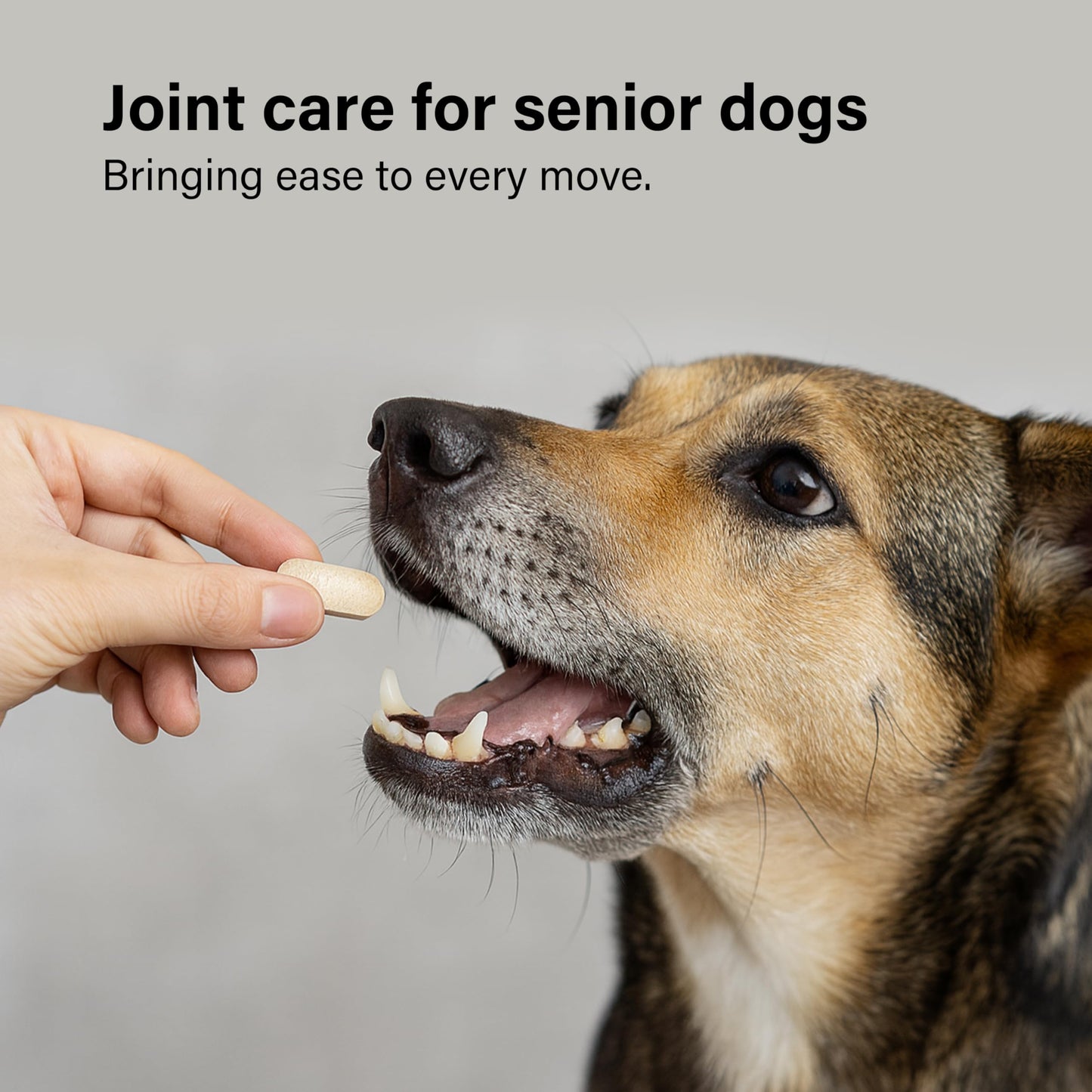 Joint Supplements for Senior Dogs, 120 Tablets with Glucosamine, Green Mussel & Vitamin C, Senior Dog Joint Supplements - Relieve Stiff Joints & Support Mobility for Your Dog
