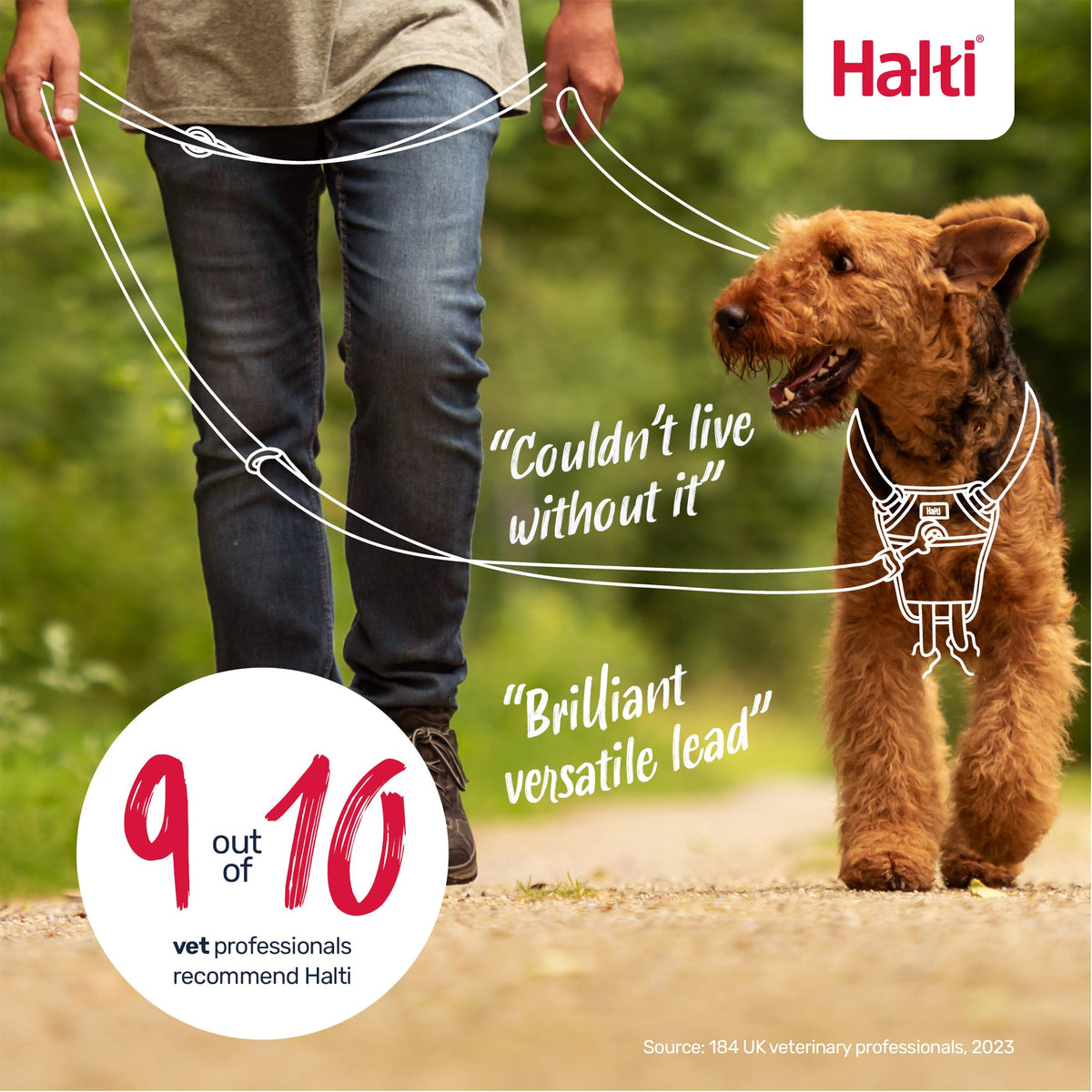 Halti Training Lead for Dogs | Size Small, Black, 2m