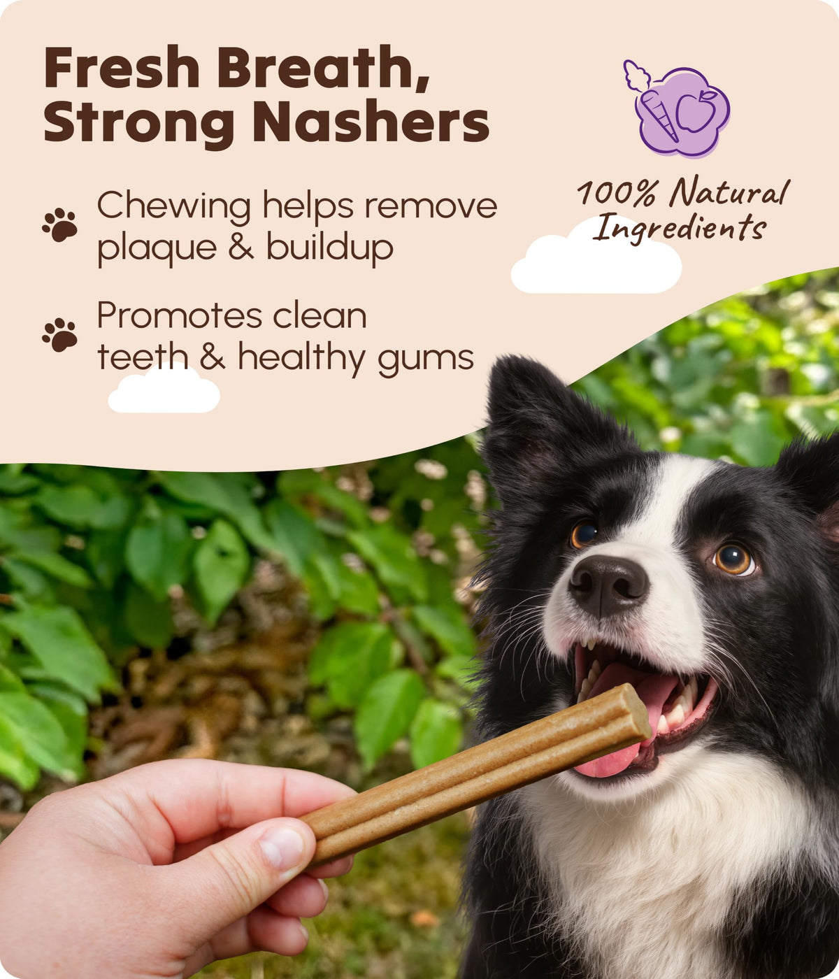 Soopa Carrot & Pumpkin Dog Dental Sticks, Chews to Clean Teeth, 100 g, 1-Pk