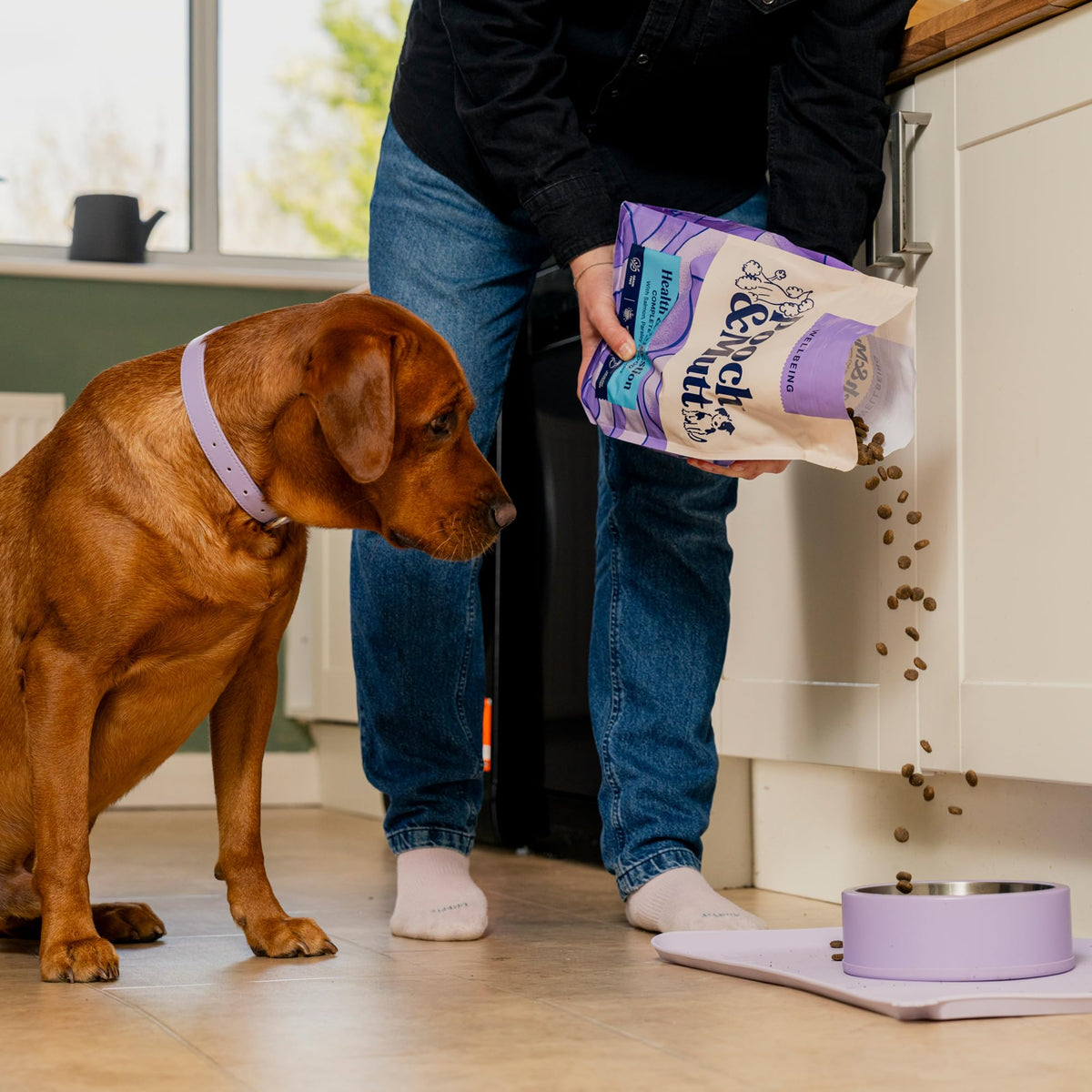 Pooch & Mutt - Health & Digestion Dry Dog Food, Salmon & Sweet Potato, 2kg
