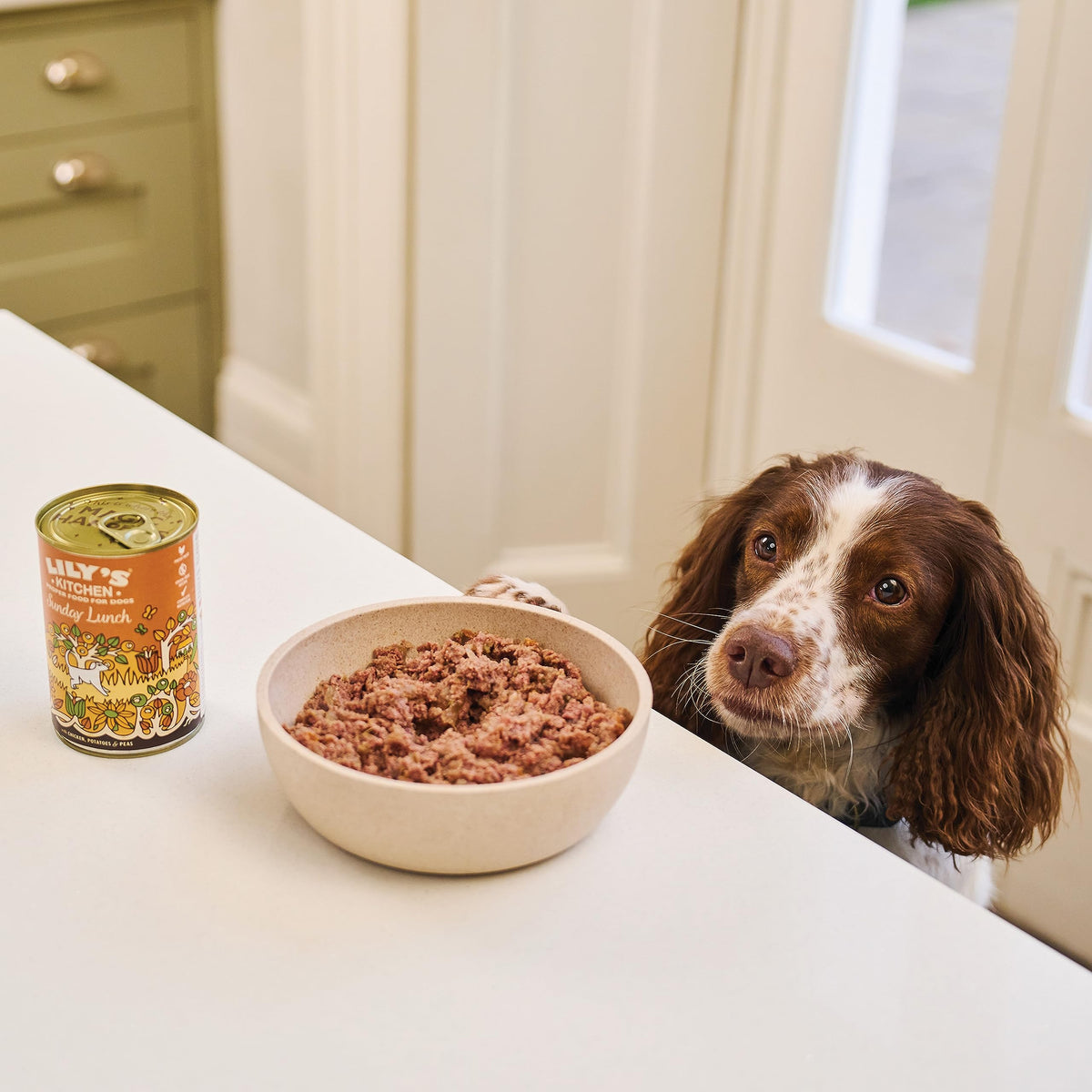 Lily's Kitchen Cottage Pie - Complete Adult Dog Wet Food (6 x 400g)