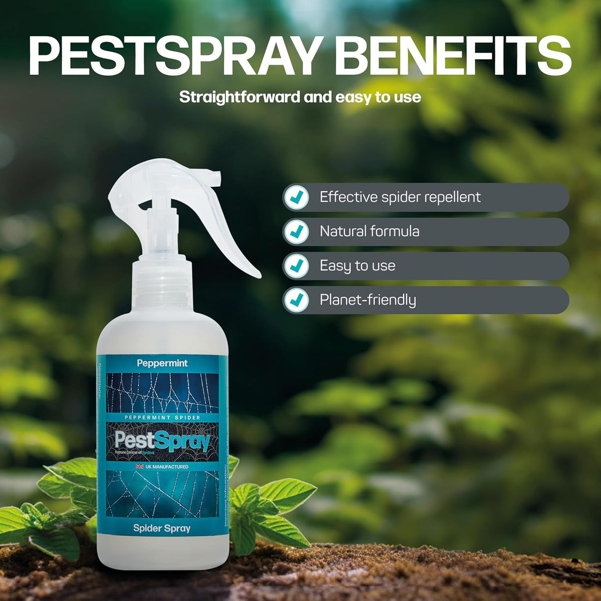 Peppermint Spider PestSpray, Peppermint Oil Spray, Spider Repellent, 250ml Bottle, Suitable Indoor & Outdoor Use