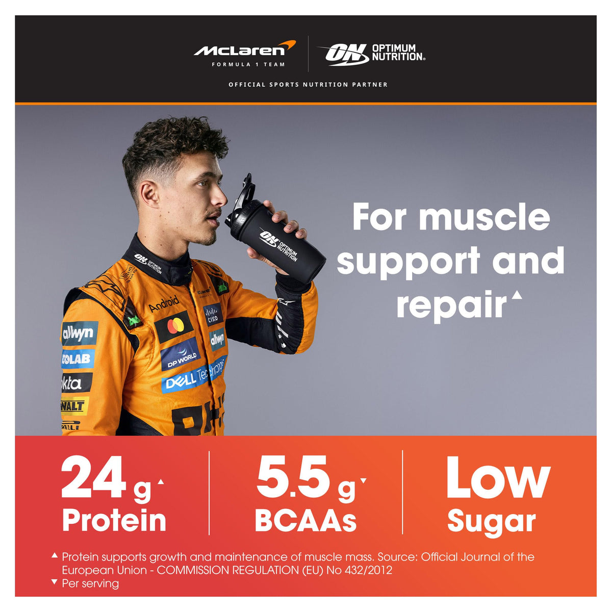 Optimum Nutrition Gold Standard 100% Whey Muscle Building and Recovery Protein Powder With Naturally Occurring Glutamine and BCAA Amino Acids, Double Rich Chocolate Flavour, Pack of 24, 24 x 31g