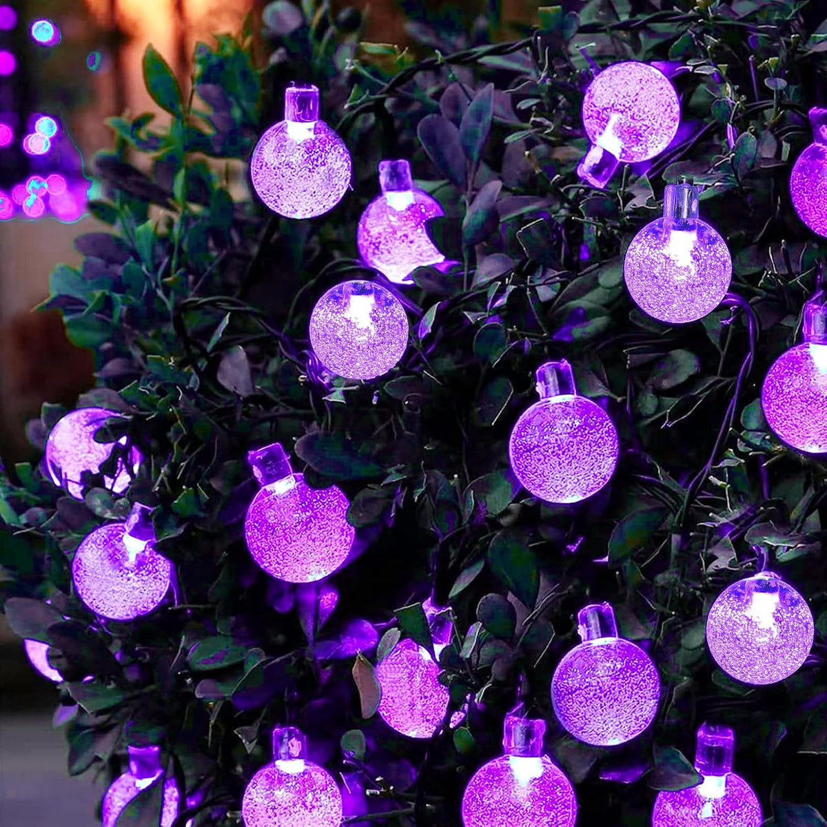 Moxled Solar Garden Lights Outdoor, 36ft 60 LED String Waterproof, Powered Crystal Ball Indoor/Outdoor Fairy Decorative for Garden, Patio, Yard, Festival, Parties (Purple)