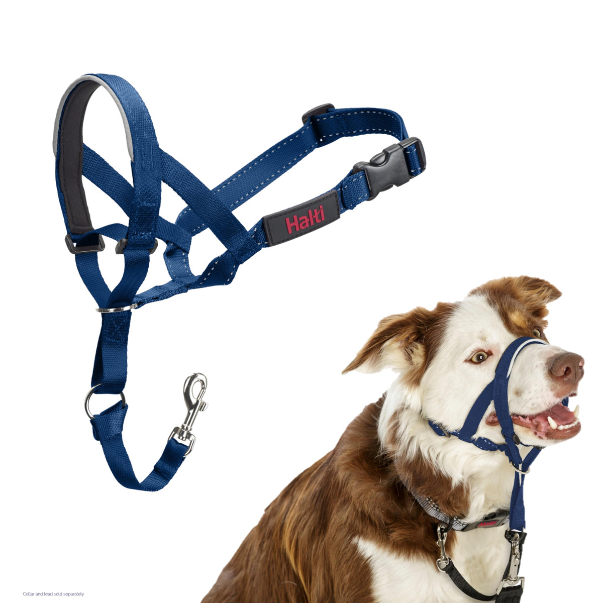 Halti Headcollar for Dogs | Size 3, Black