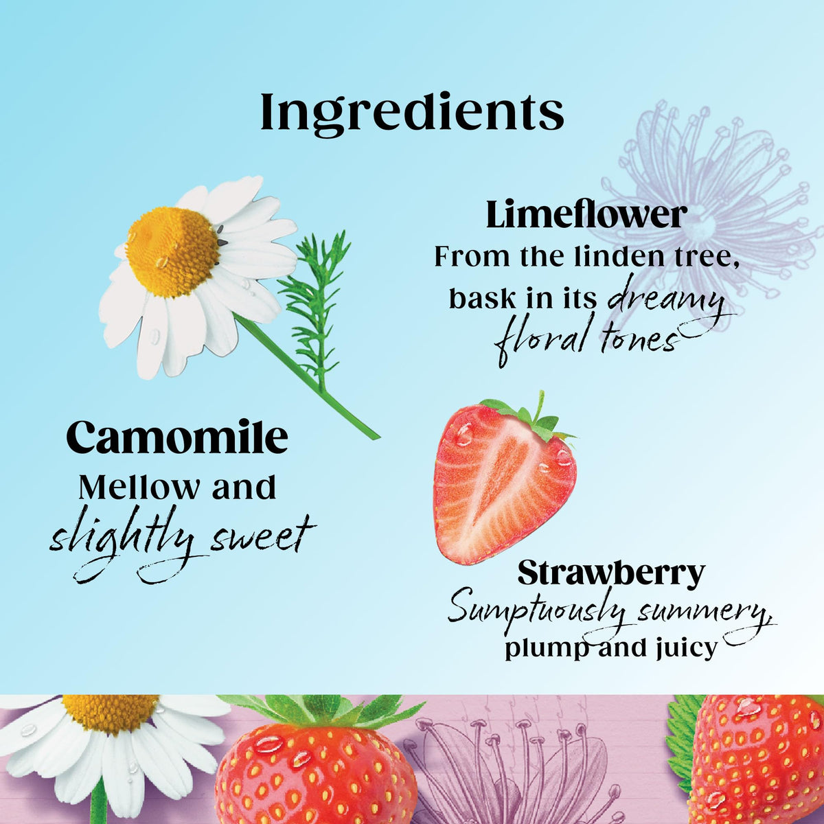 Twinings Superblends Wind Down Tea Collection Pack, 20 Tea Bags