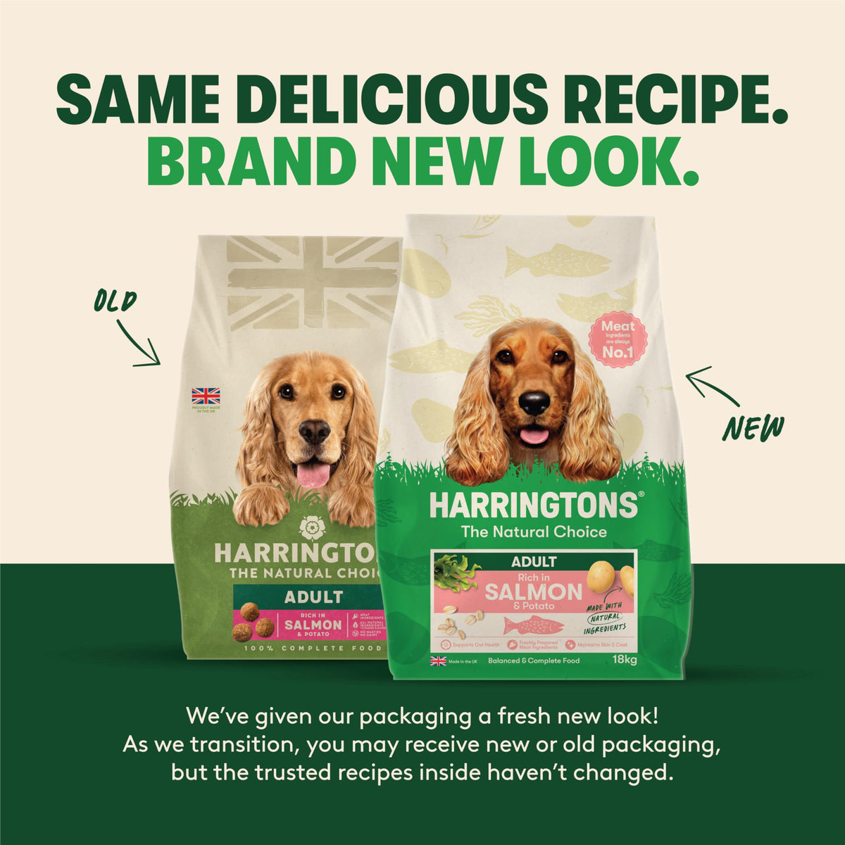 Harringtons Complete Dry Adult Dog Food Salmon & Potato 12kg