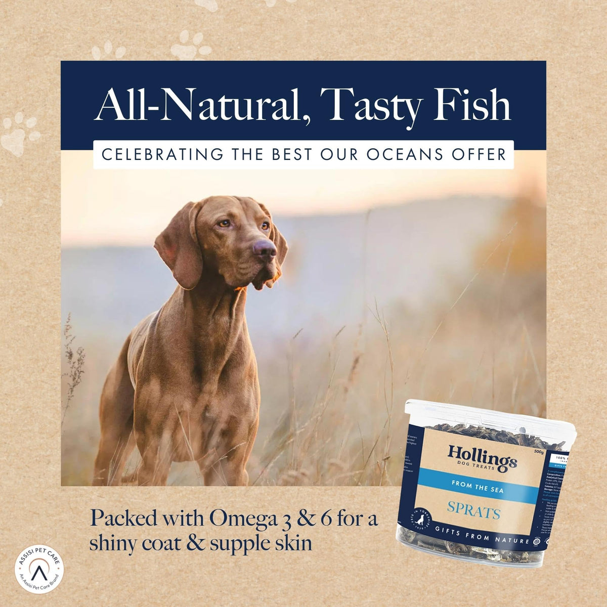 Hollings Sprats Dog Treats, 100% Natural with Fresh Fish Air Dried Treats for Dogs, Hypoallergenic and Grain Free 100g (Pack of 10)