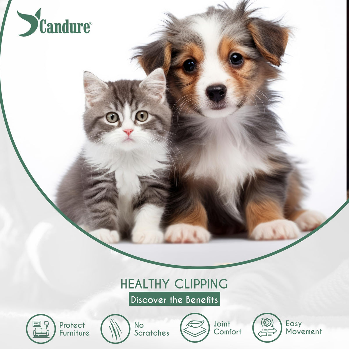 Candure Dog Nail Clippers for Large, Medium and Small Breed Professional Pet Nail Clipper Suitable for Cats, Rabbits and Guinea Pigs with Safety Lock (All Size Pets, Dark Blue)
