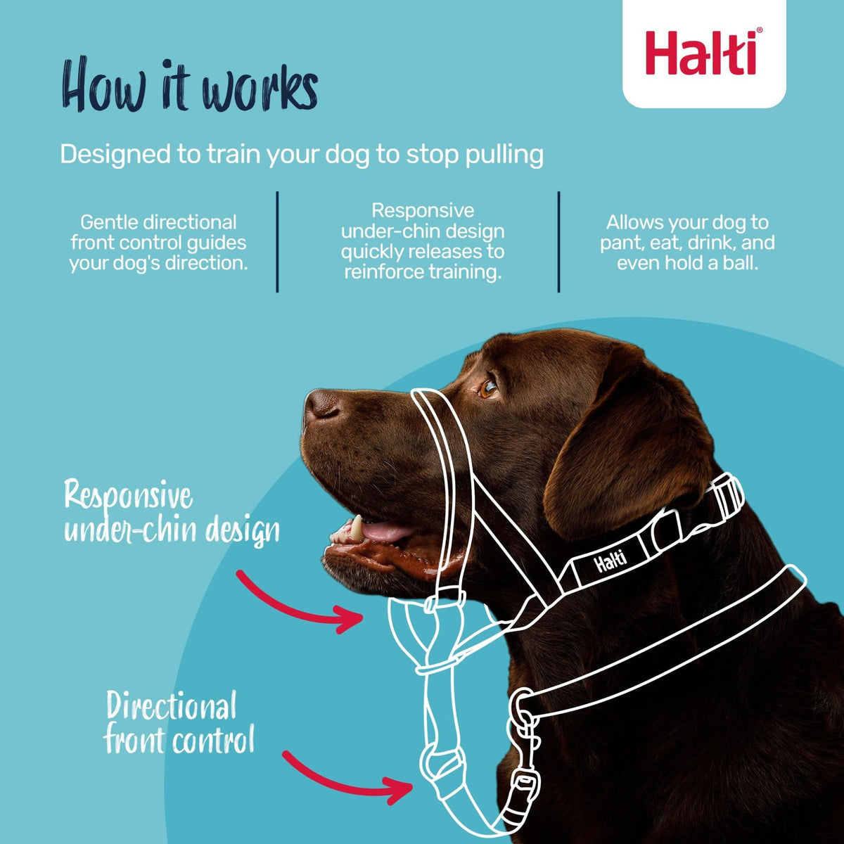 Halti Headcollar for Dogs | Size 3, Black