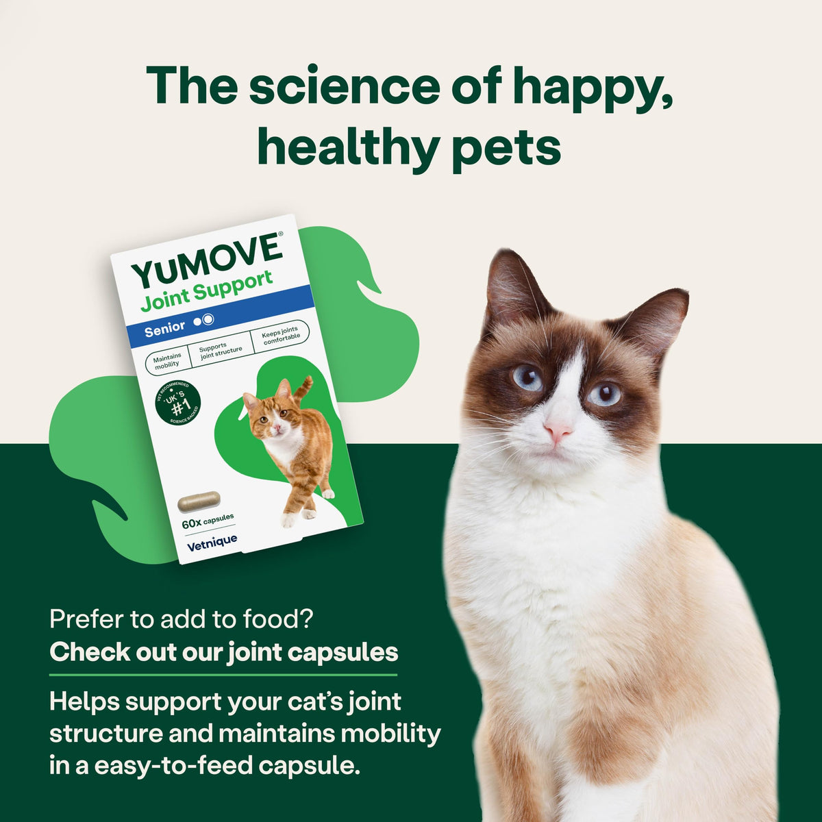 YuMOVE Senior Cat Joint Supplement for Joint Care & Joint Aid, for Older, Stiff Cats with Glucosamine, Chondroitin & Green Lipped Mussel, 60 Capsules - Packaging May Vary