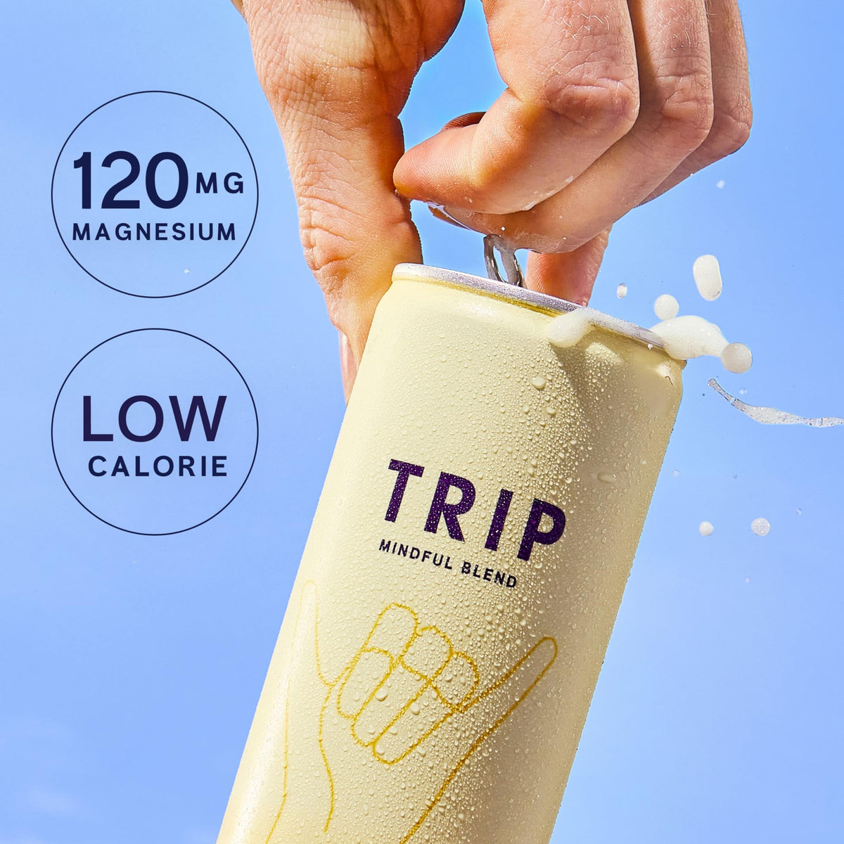 TRIP Calm Magnesium Drink, Sparkling Mocktail, Ultimate Sampler Mix, 12pack