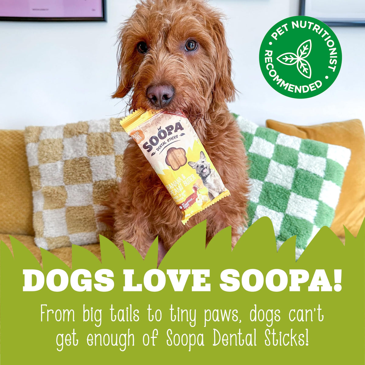 Soopa Carrot & Pumpkin Dog Dental Sticks, Chews to Clean Teeth, 100 g, 1-Pk