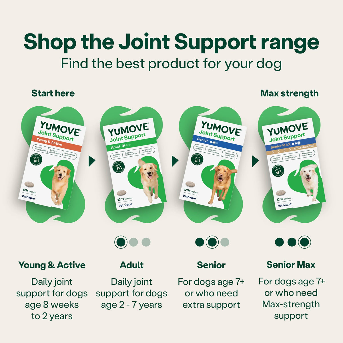 YuMOVE Joint Supplement for Dogs, Higher Strength for Joint Care, Essential Dog Hip and Joint Support for Adult Dogs Aged 6 to 8, 120 Tablets - Eco Friendly and Letter Box Ready Packaging