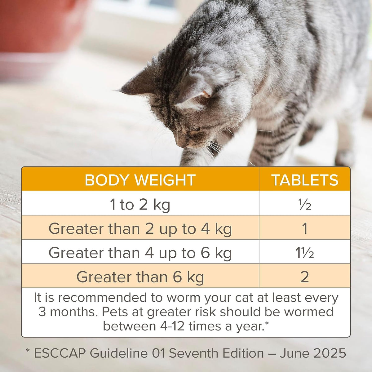 Beaphar - WORMclear® Tablets for Cats - 2 Tablet Pack - Kills All Common UK Intestinal Worms (Roundworms & Tapeworms) - Vet Strength Worm Treatment - Meaty-Flavoured - For Cats Over 6 Weeks Old & 1kg