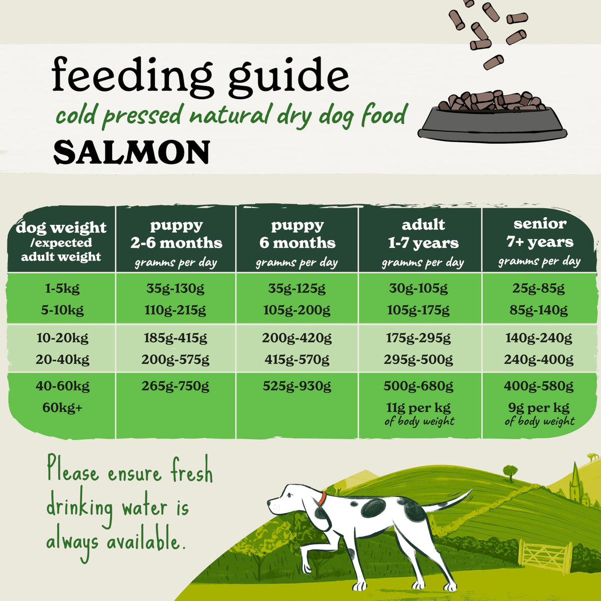 Forthglade Dry Dog Food, Cold Pressed (6kg), Hypoallergenic and Grain Free Dog Food, Salmon & Vegetables, Natural Senior, Adult and Puppy Meal Vet, Approved For Good Gut Health