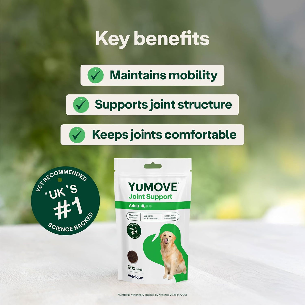 YuMOVE Joint Supplement for Dogs, Daily Bites for Joint Care, Essential Dog Hip and Joint Support for Stiff Adult Dogs with Glucosamine, Chondroitin, Green Lipped Mussel, 60 Tablets