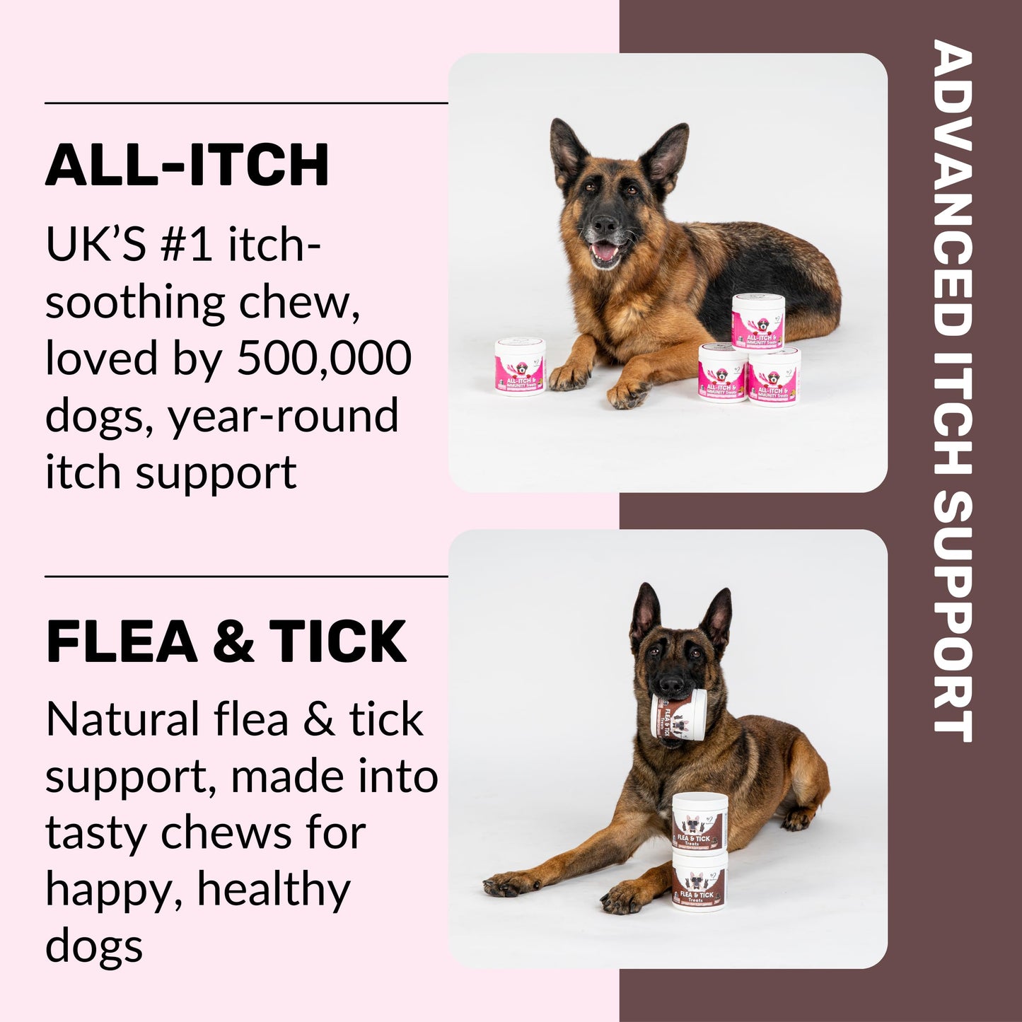 NutriPaw All-Itch Immunity Treats For Dogs - Soothe Itchy Paws, Eyes, Ears, Skin - Stop Itching, Licking, Scratching - Perfect for Small, Medium & Large Dogs - Supports Seasonal Itching