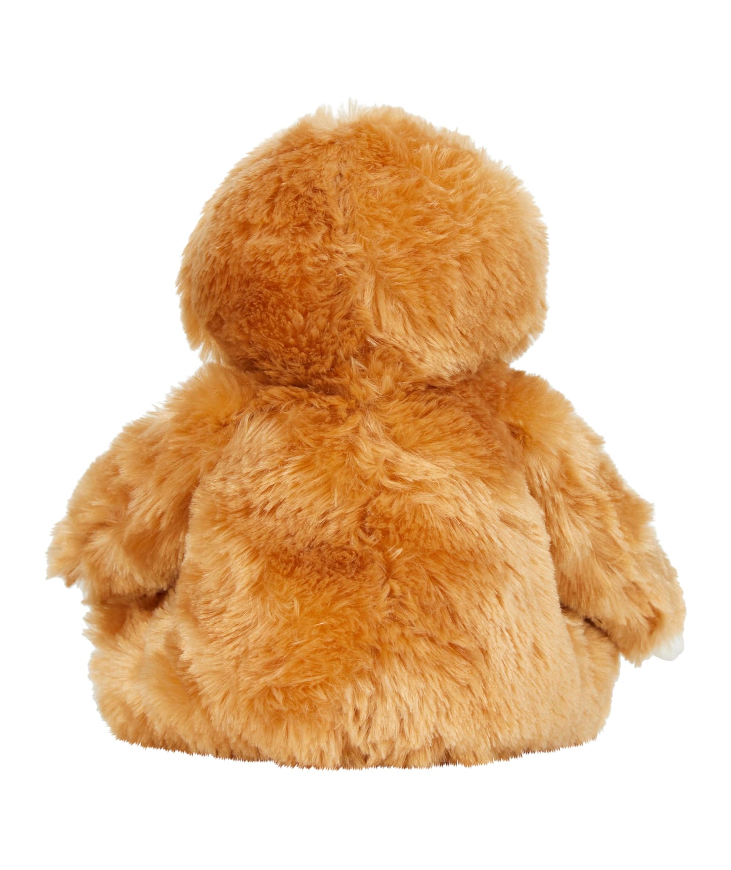 Personalised Photo Teddy Bear – Add Photo on Front & Text on Feet | 28 Styles | Custom Keepsake Gift for Baby, Sympathy, Birthday & More (Brown Teddy Bear)