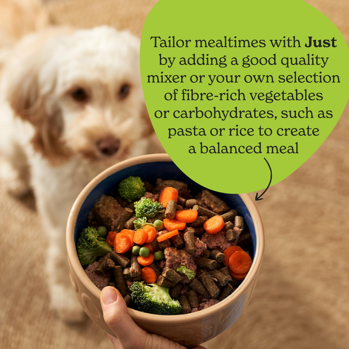 Forthglade Complementary Wet Dog Food (12 x 395g Trays) - Grain Free & Hypoallergenic Dog Food, Just Chicken, Chicken with Liver & Turkey, 90% Protein Stomach Sensitive with Natural Ingredients
