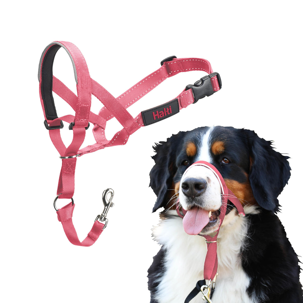 Halti Headcollar for Dogs | Size 3, Black