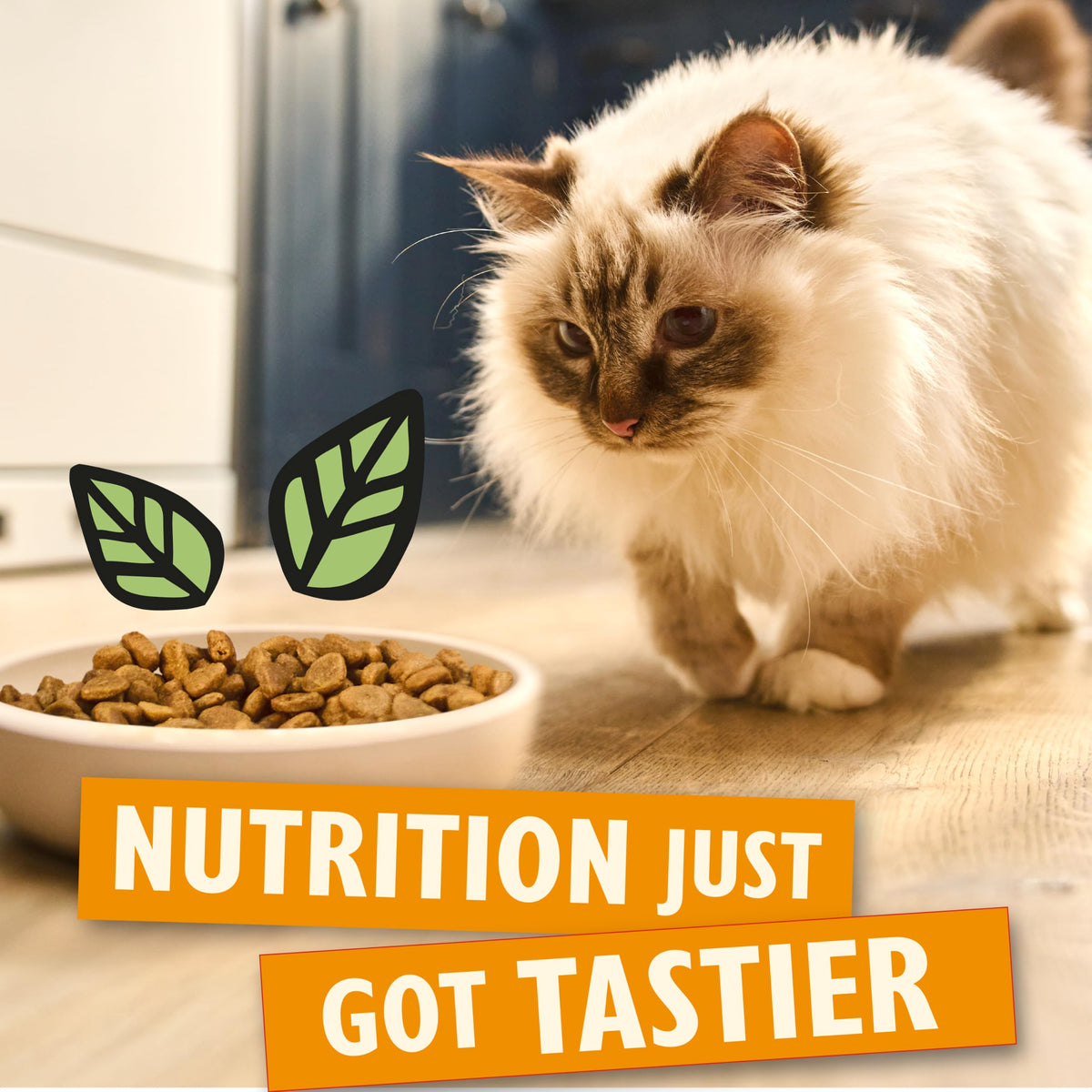 Lily’s Kitchen Chicken with Veggies, Complete, Adult Cat Dry Food (2kg), With Natural Ingredients, Grain-Free Recipe, Balanced Nutrition, Proper Kibble, Dry Cat Food Chicken