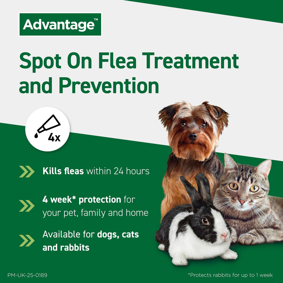 Advantage Spot On Flea Treatment For Large Cats and Rabbits Over 4kg (1 pipette, 80mg), Kills Fleas Within 24 Hours, Prevents Further Infestation For Up To Four Weeks in Cats