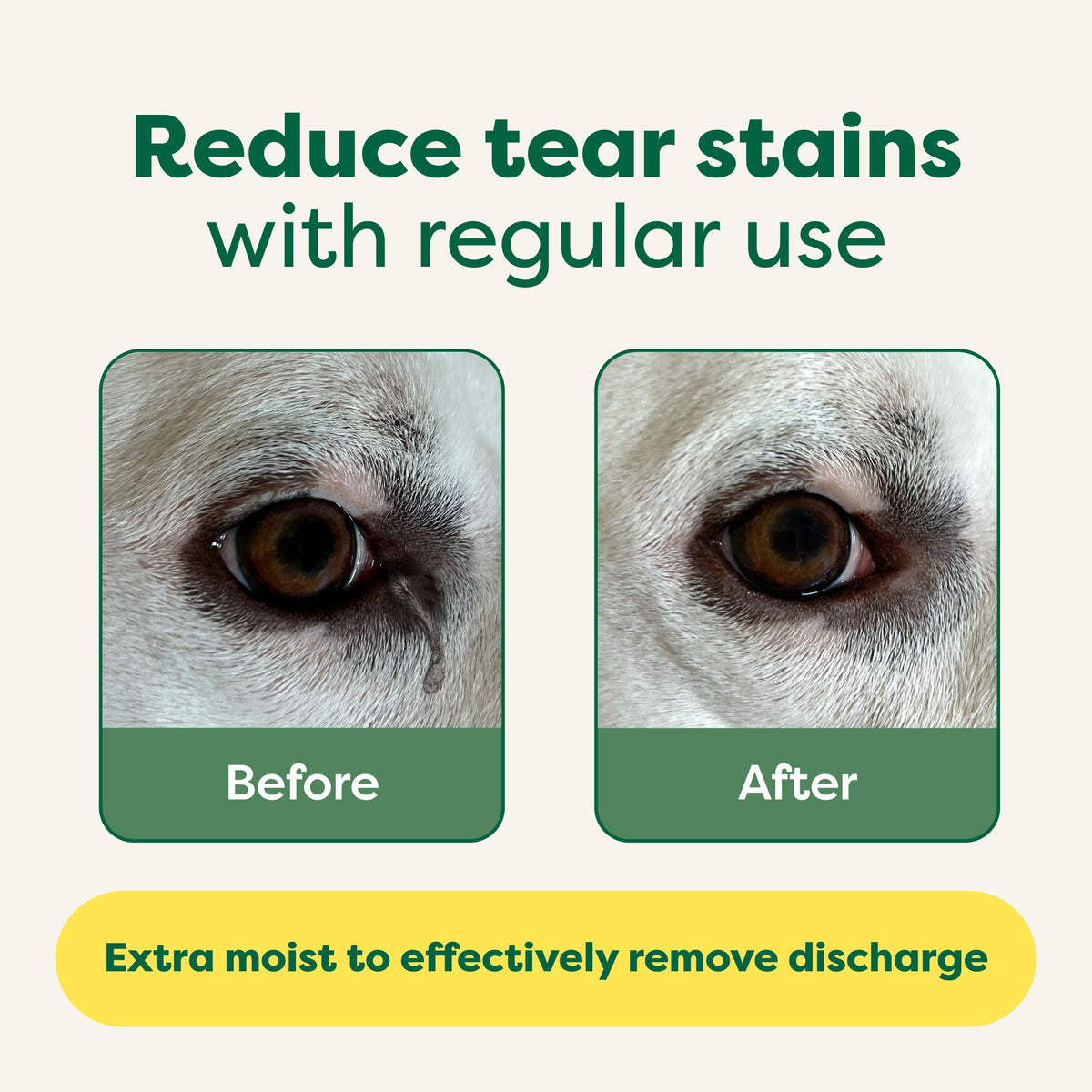 Earth Rated Pet Wipes for Dogs, Hypoallergenic, Cleaning and Hydrating, for Grooming Paws, Body and Bums, Unscented, 100 Count